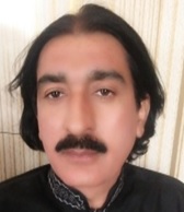 Mr. Zulfiqar Ali Bhutta