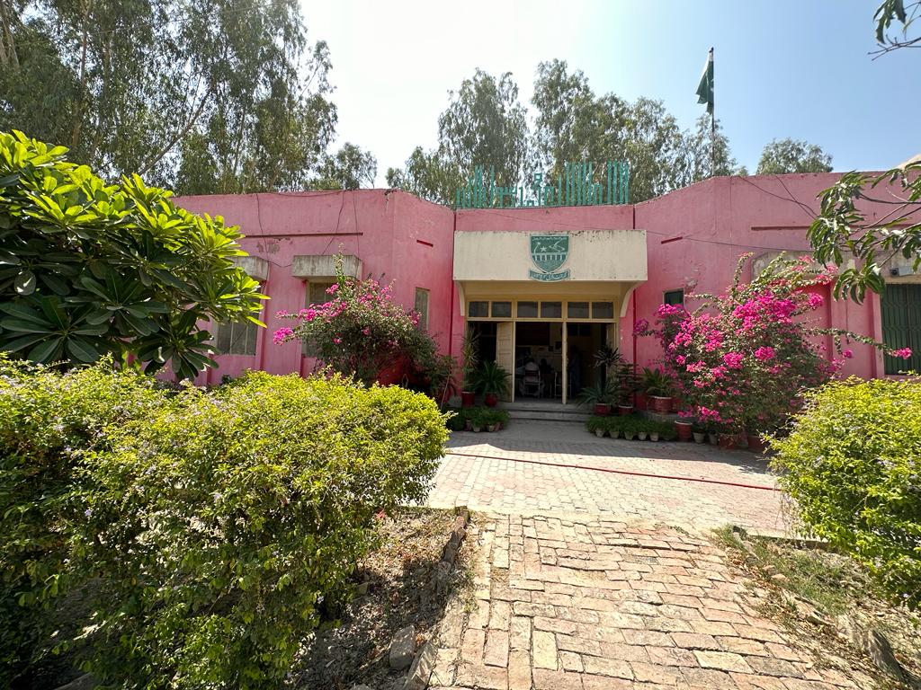 Govt. Graduate College Mailsi